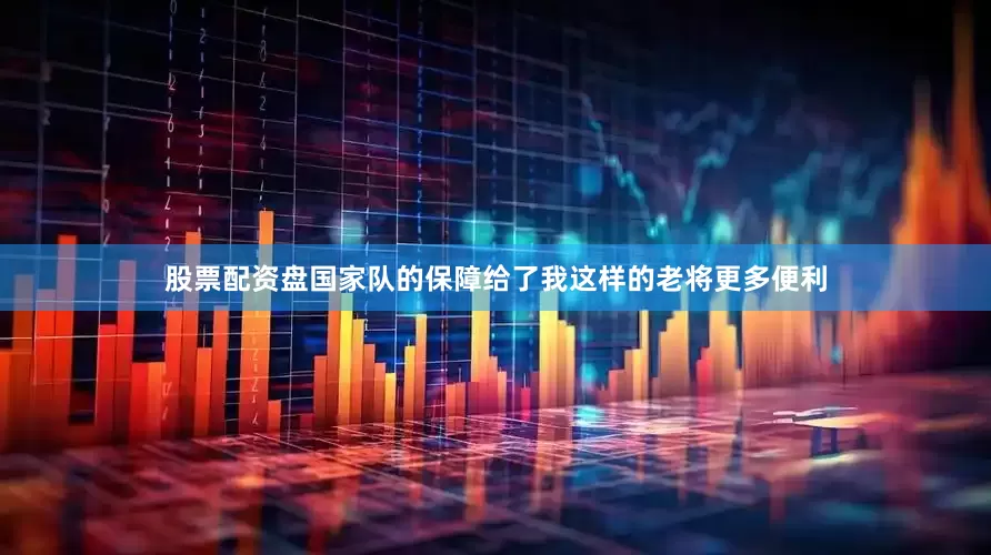 股票配资盘国家队的保障给了我这样的老将更多便利