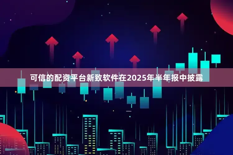 可信的配资平台新致软件在2025年半年报中披露